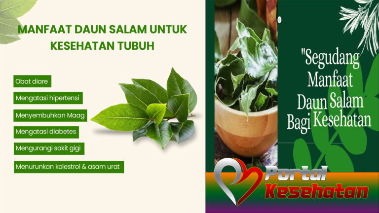 Manfaat Daun Salam bagi Kesehatan