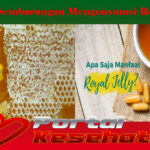 Jangan Sembarangan Mengonsumsi Royal Jelly