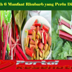 Inilah 6 Manfaat Rhubarb yang Perlu Diketahui