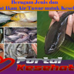 Beragam Jenis dan Manfaat Ikan Air Tawar untuk Kesehatan