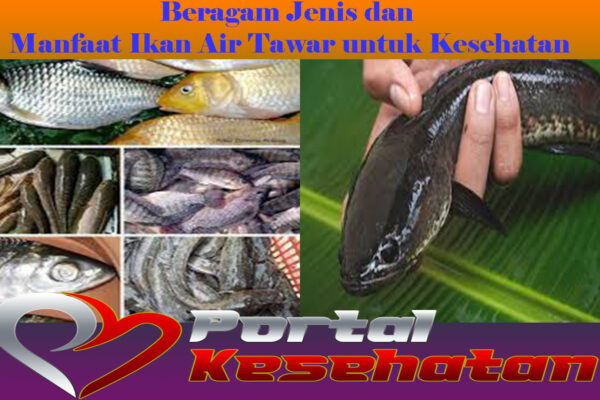 Beragam Jenis dan Manfaat Ikan Air Tawar untuk Kesehatan