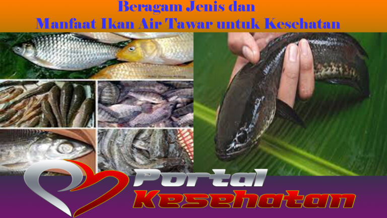 Beragam Jenis dan Manfaat Ikan Air Tawar untuk Kesehatan