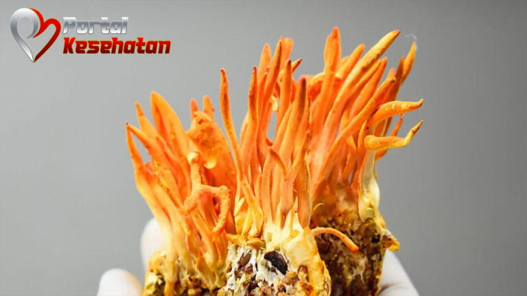 6 Khasiat Jamur Cordyceps Militaris untuk Kesehatan Tubuh